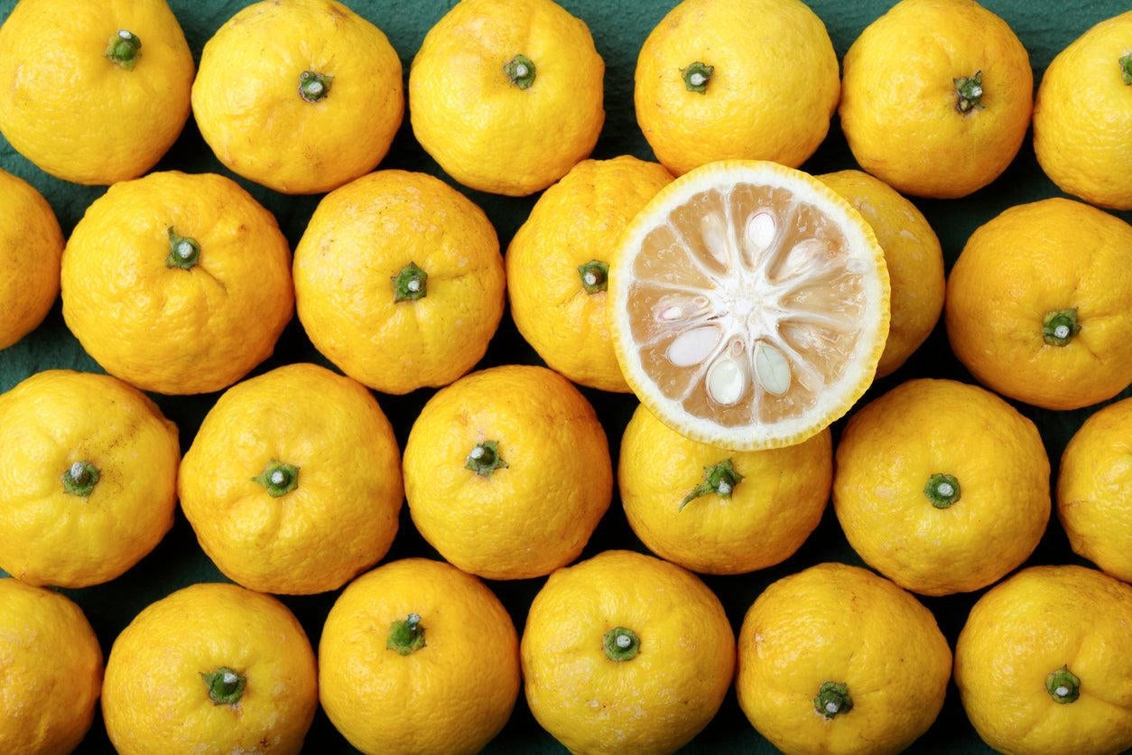 27 Fakta Om Yuzu