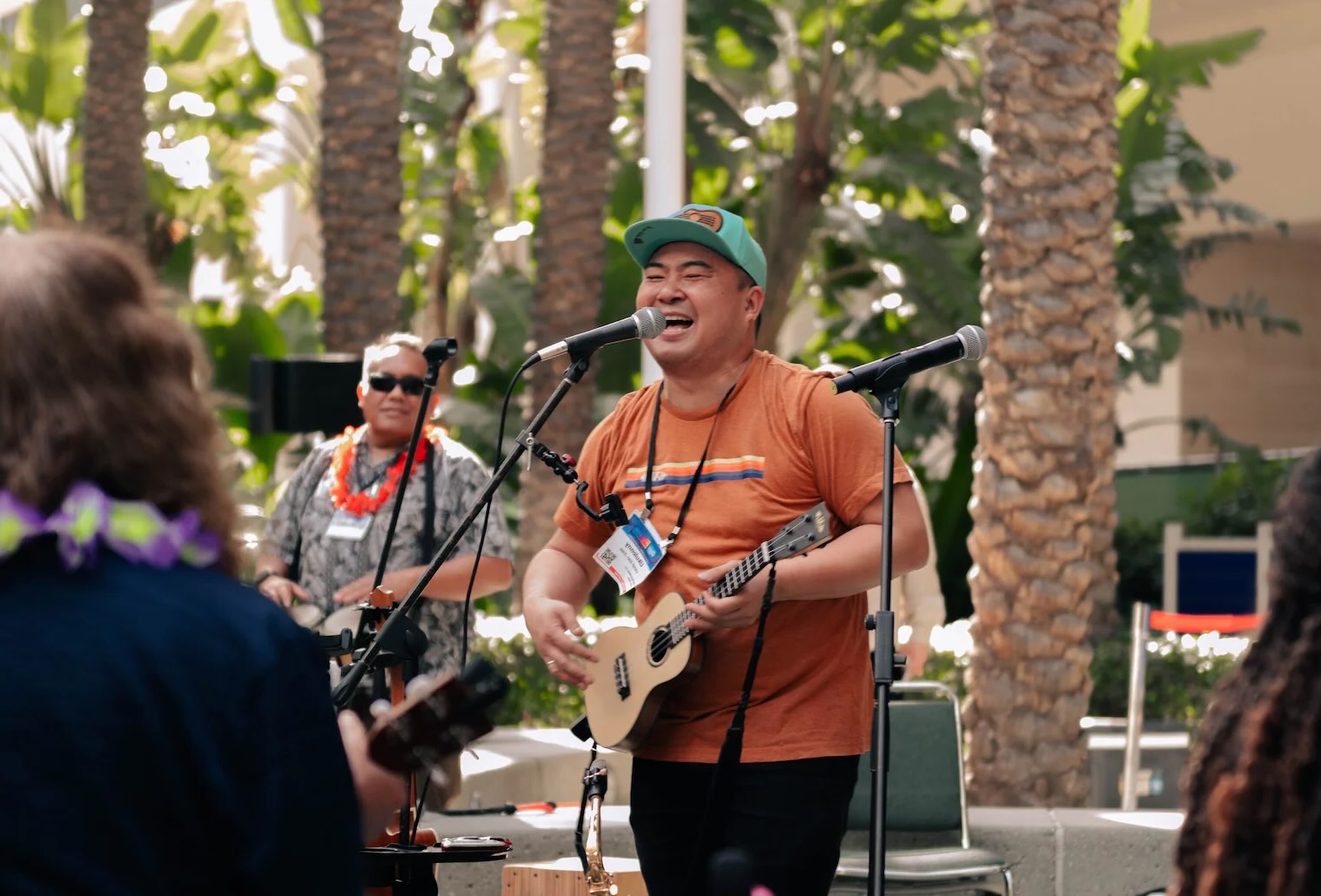 29 Fakta Om Ukulele