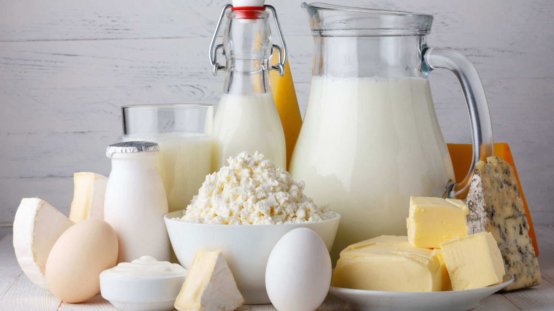 35 Fakta Om Probiotika