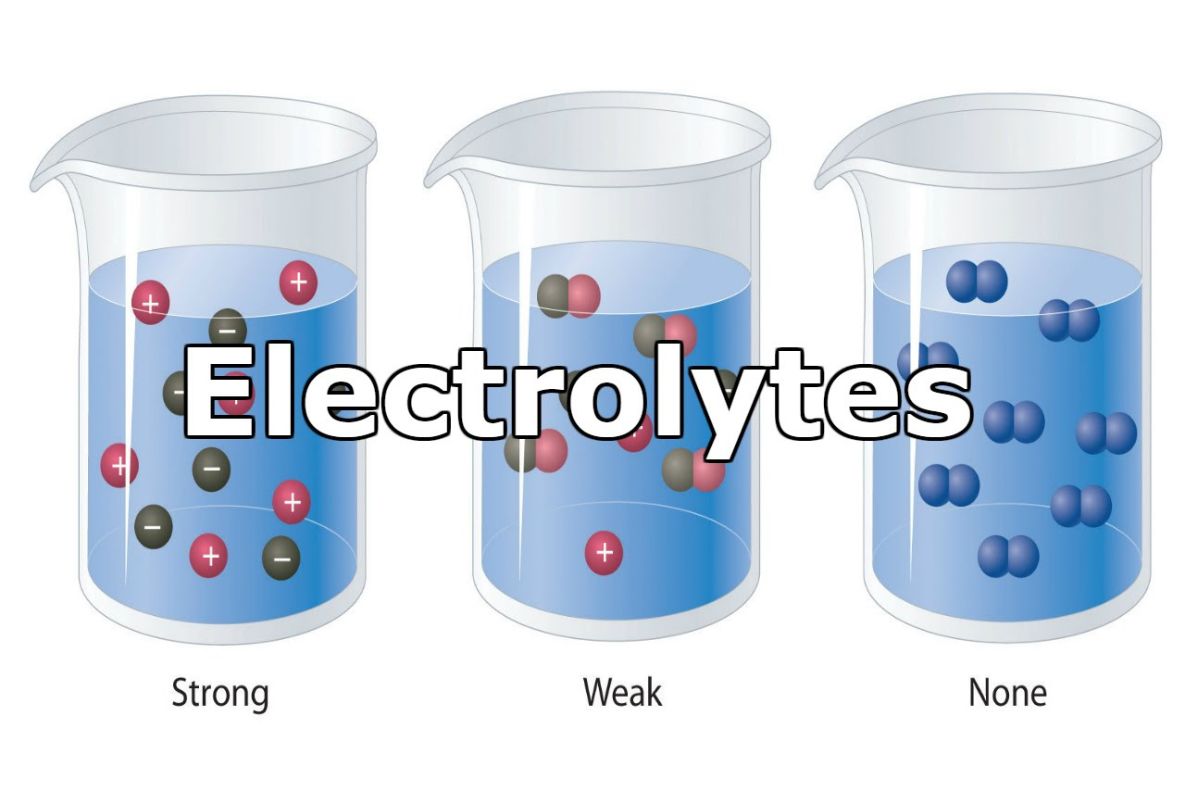 39 Fakta Om Elektrolytter
