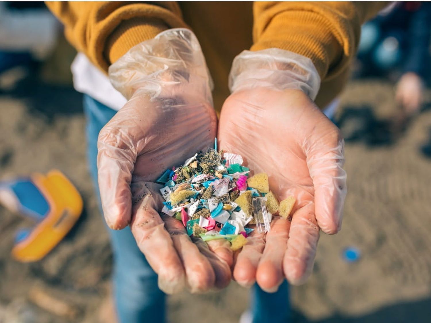 39 Fakta Om Mikroplast